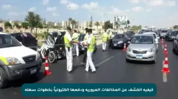 كيفية الكشف عن المخالفات المرورية ودفعها إلكترونياً بخطوات سهلة